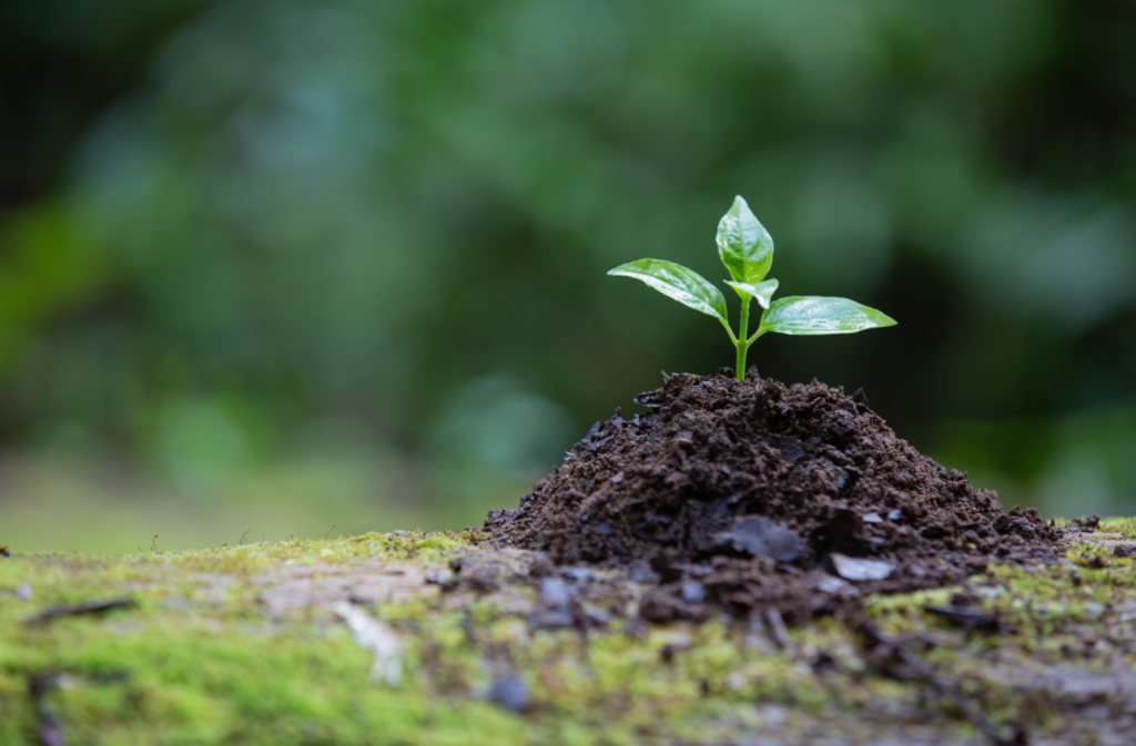 Meio Ambiente: Cuidando do Nosso Futuro com Responsabilidade